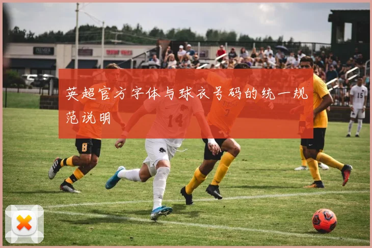 英超官方字体与球衣号码的统一规范说明