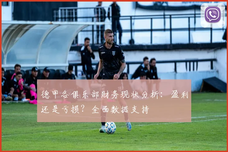 德甲各俱乐部财务现状分析：盈利还是亏损？全面数据支持